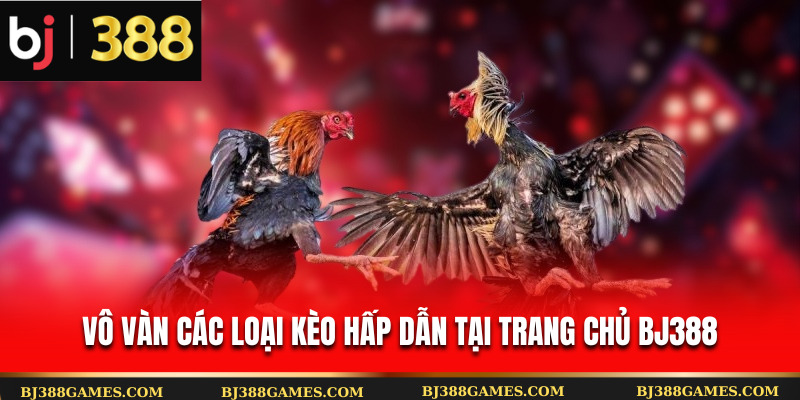 Vô vàn các loại kèo hấp dẫn tại trang chủ Bj388 Vô vàn các loại kèo hấp dẫn tại trang chủ Bj388